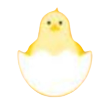 추가 버튼